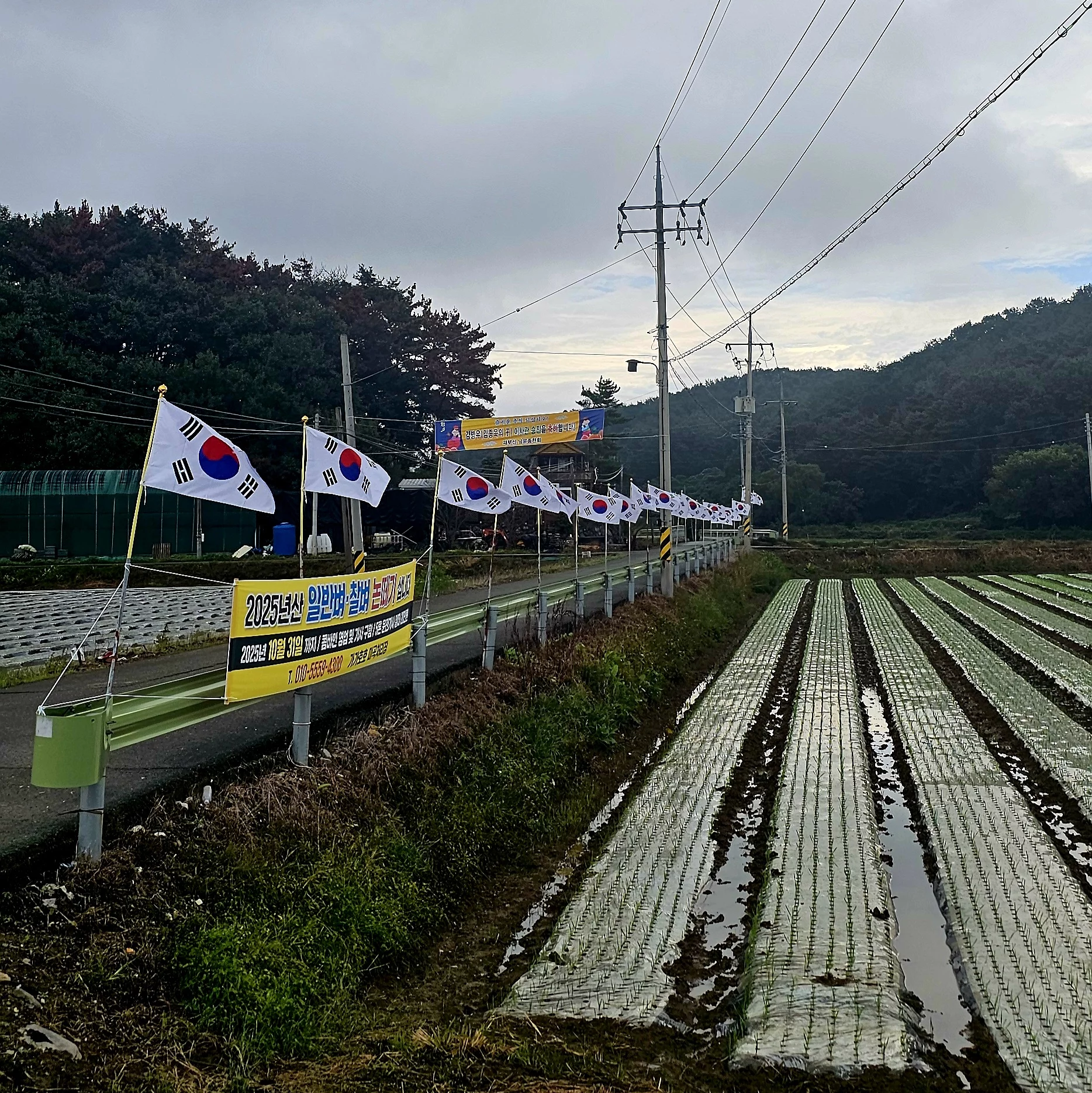 Morning start before the rain with determination to cover 60-90km