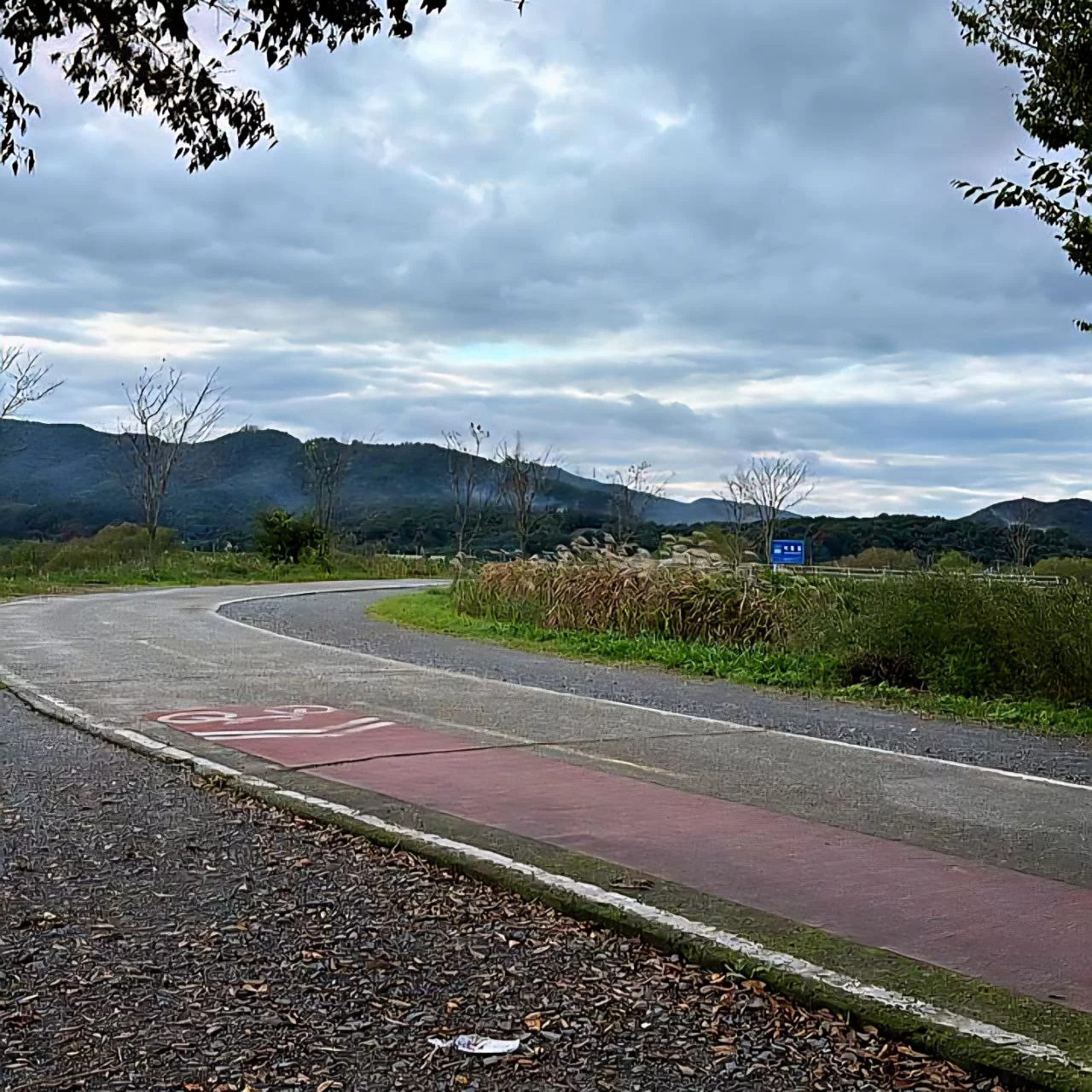 Cheerful locals encouraging them through pain, rain, and wrong turns