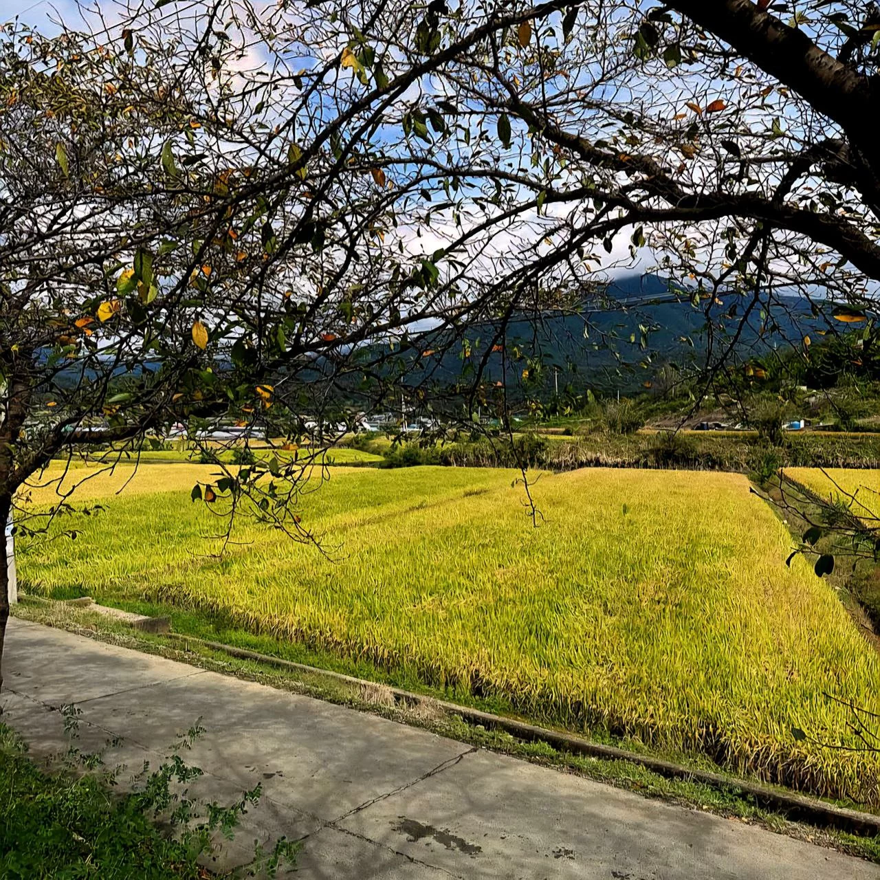 End of Day 3 - life, death, and recognition on the Korean trails