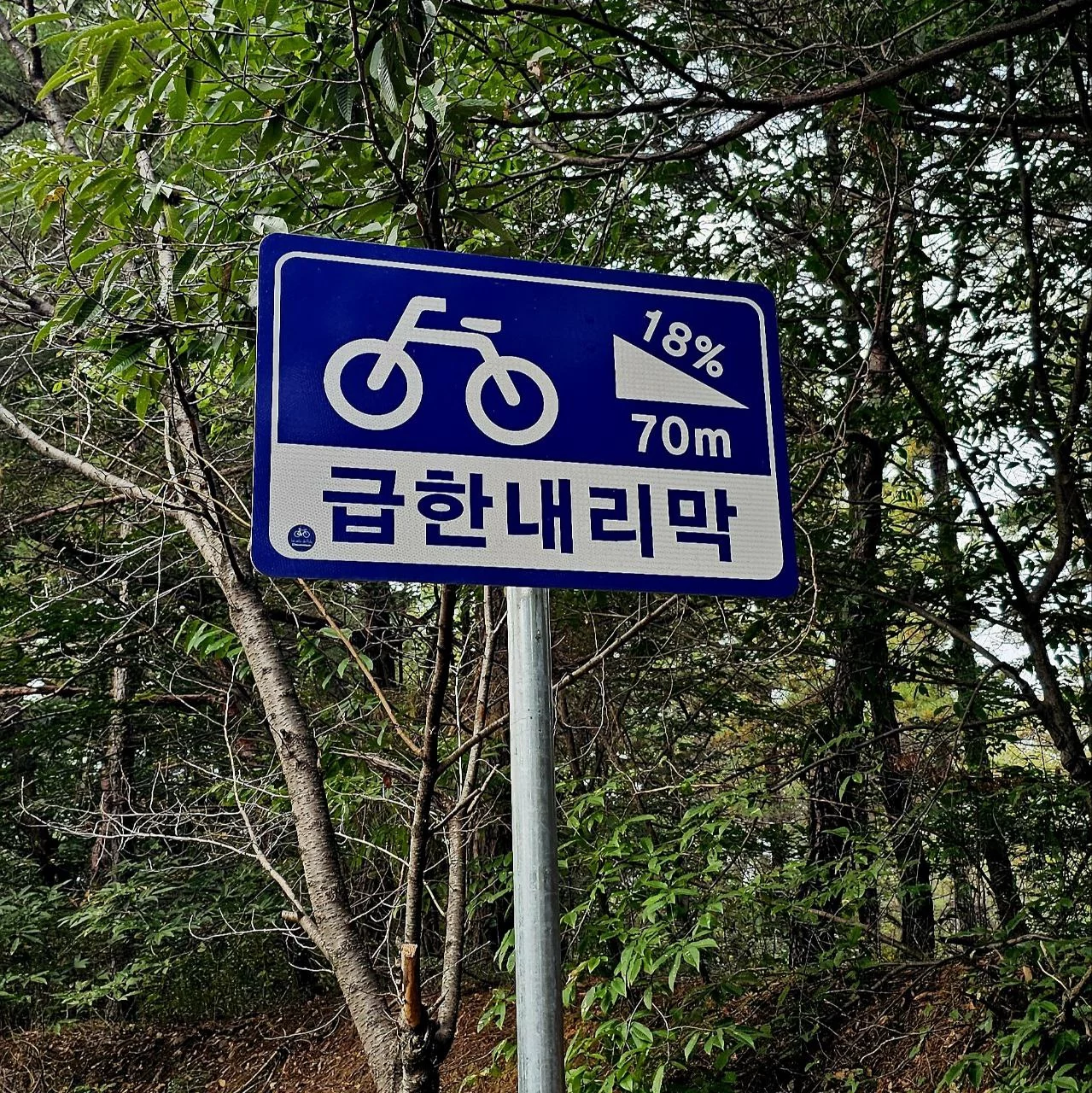 Day 6 journey photo